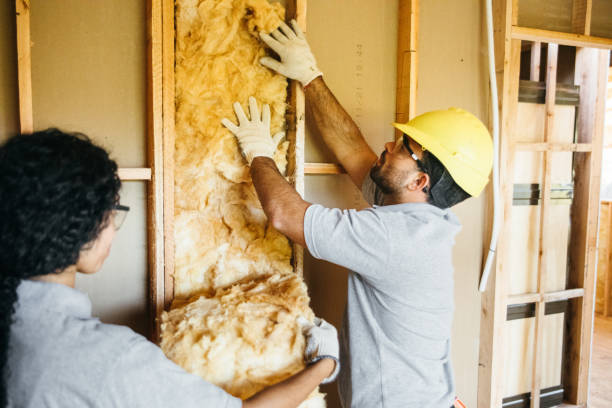 Best Best Insulation Companies  in Frankfort, MI