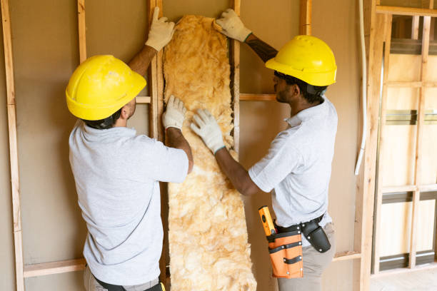 Best Professional Insulation Contractor  in Frankfort, MI