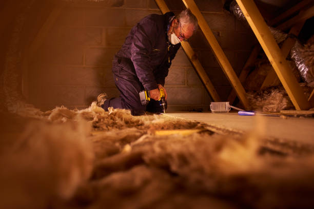 Best Attic Insulation Installation  in Frankfort, MI